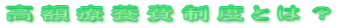 z×{xƂ́H