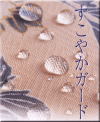 Ђ悵܂